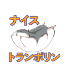 アイ アム ジャンガリアン★★（個別スタンプ：33）