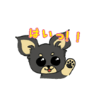 黒チワワの日常あいさつ(敬語)（個別スタンプ：2）