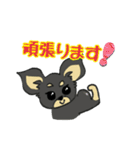 黒チワワの日常あいさつ(敬語)（個別スタンプ：7）