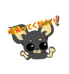 黒チワワの日常あいさつ(敬語)（個別スタンプ：8）