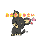 黒チワワの日常あいさつ(敬語)（個別スタンプ：16）