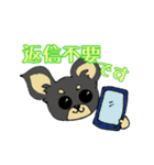 黒チワワの日常あいさつ(敬語)（個別スタンプ：18）