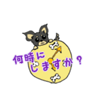黒チワワの日常あいさつ(敬語)（個別スタンプ：24）