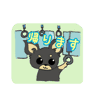 黒チワワの日常あいさつ(敬語)（個別スタンプ：32）
