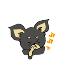 黒チワワの日常あいさつ(敬語)（個別スタンプ：35）