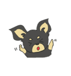 黒チワワの日常あいさつ(敬語)（個別スタンプ：37）