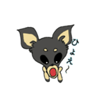 黒チワワの日常あいさつ(敬語)（個別スタンプ：38）