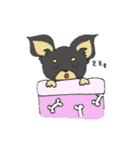 黒チワワの日常あいさつ(敬語)（個別スタンプ：40）