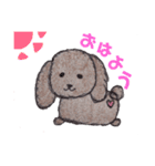 可愛いモフモフのトイプードル（個別スタンプ：1）