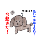 可愛いモフモフのトイプードル（個別スタンプ：5）