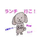 可愛いモフモフのトイプードル（個別スタンプ：20）