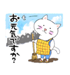 猫のニキおと楽しい毎日（個別スタンプ：17）