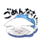 猫のニキおと楽しい毎日（個別スタンプ：26）