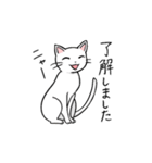 猫の日常使いスタンプ（個別スタンプ：1）