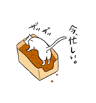 猫の日常使いスタンプ（個別スタンプ：13）