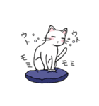 猫の日常使いスタンプ（個別スタンプ：25）