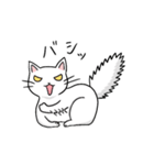 猫の日常使いスタンプ（個別スタンプ：29）