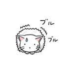 猫の日常使いスタンプ（個別スタンプ：31）