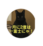 個人的に家で使うにゃ！（個別スタンプ：2）
