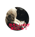 個人的に家で使うにゃ！（個別スタンプ：4）