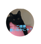 個人的に家で使うにゃ！（個別スタンプ：5）
