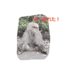 幸せみーつけた(*^^*)（個別スタンプ：2）