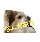 いろんな タルト（個別スタンプ：6）