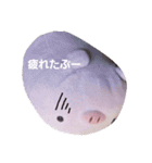 ぶーぶーぶーちゃん2（個別スタンプ：4）