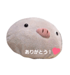 ぶーぶーぶーちゃん2（個別スタンプ：5）