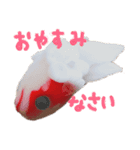 金魚ちゃんスタンプ（個別スタンプ：4）