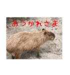 風景と動物（個別スタンプ：3）