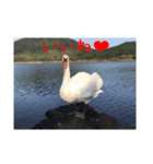 風景と動物（個別スタンプ：5）