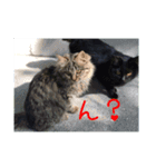風景と動物（個別スタンプ：6）