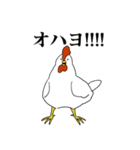 ニワトリトヒヨコ（個別スタンプ：1）
