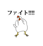 ニワトリトヒヨコ（個別スタンプ：16）