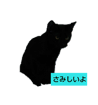 黒猫ジジ君キキちゃん（個別スタンプ：1）