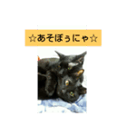 黒猫ジジ君キキちゃん（個別スタンプ：2）