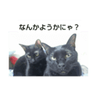 黒猫ジジ君キキちゃん（個別スタンプ：3）