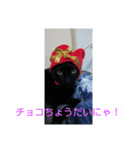 黒猫ジジ君キキちゃん（個別スタンプ：4）