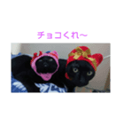 黒猫ジジ君キキちゃん（個別スタンプ：8）