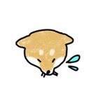 うちの犬まるちゃん（個別スタンプ：3）