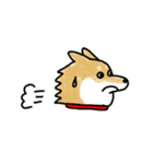うちの犬まるちゃん（個別スタンプ：4）
