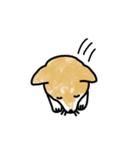 うちの犬まるちゃん（個別スタンプ：5）
