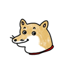 うちの犬まるちゃん（個別スタンプ：6）