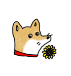 うちの犬まるちゃん（個別スタンプ：7）