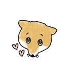 うちの犬まるちゃん（個別スタンプ：9）