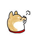 うちの犬まるちゃん（個別スタンプ：10）