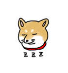 うちの犬まるちゃん（個別スタンプ：12）