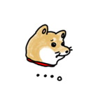 うちの犬まるちゃん（個別スタンプ：13）