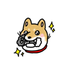 うちの犬まるちゃん（個別スタンプ：14）
